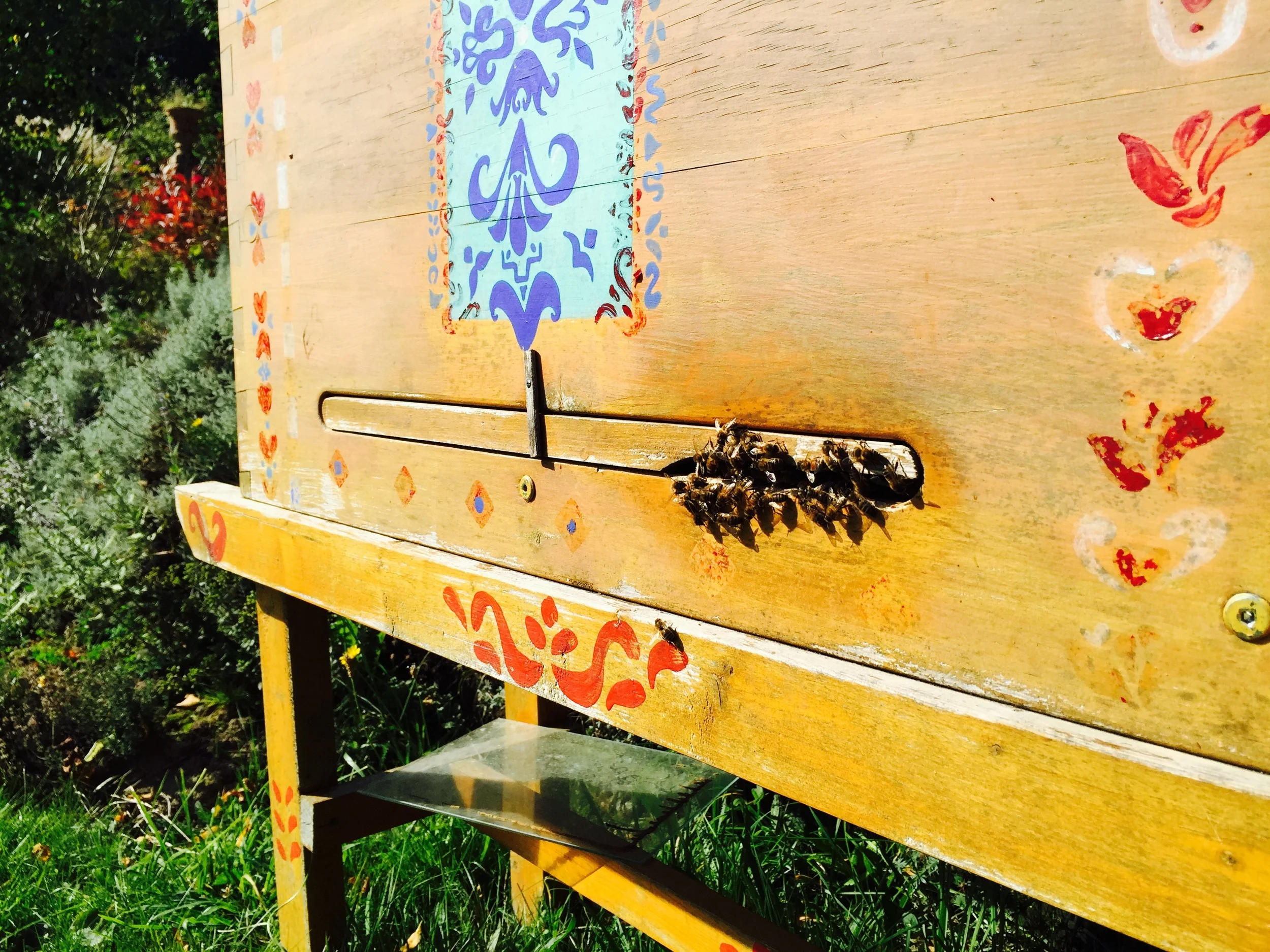 AriellaDaly_yellow_entrance