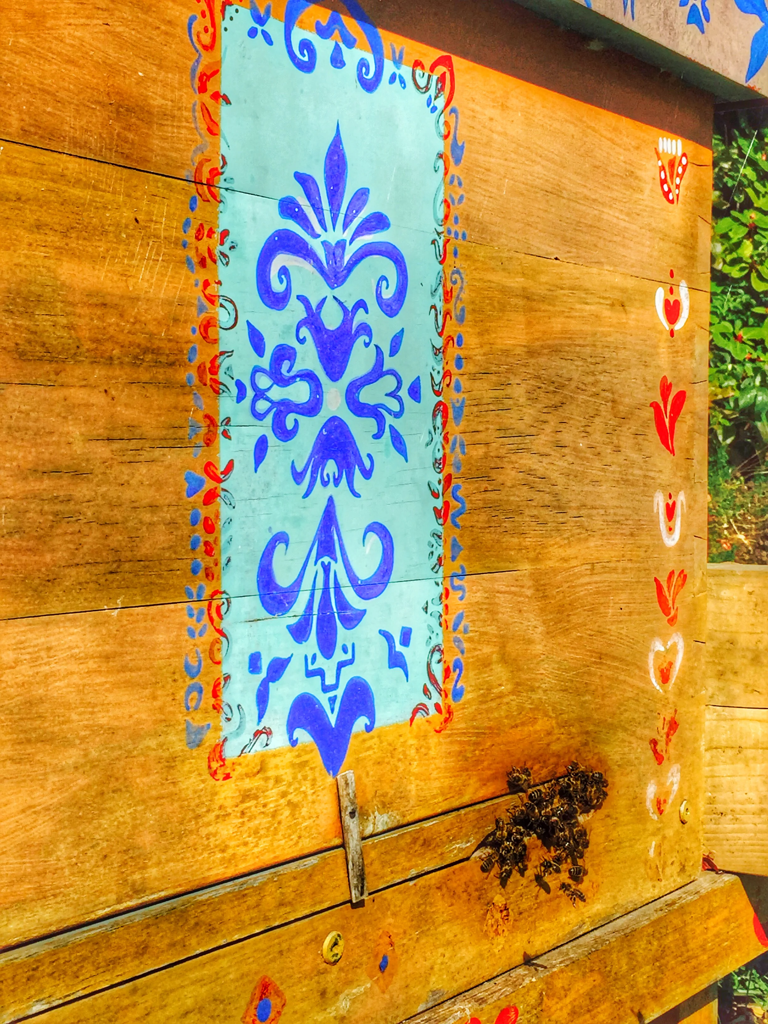 AriellaDaly_yellow_entrance2