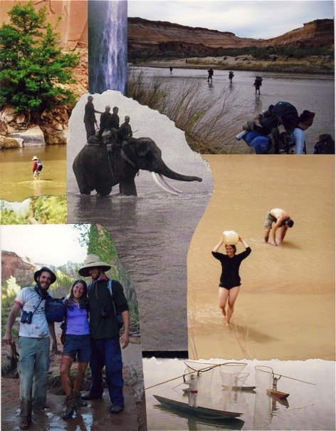 AriellaDaly_collage3