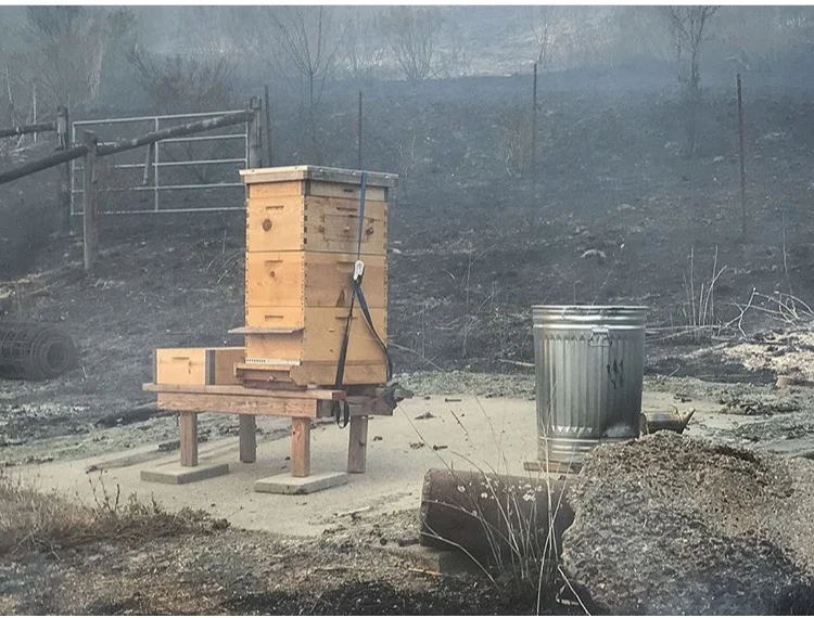 Hives saved by firefighters at the property of Robert Coury (www.RobertCoury.com) in Napa County. His home and the bees were saved as of yesterday, but the fires continue and conditions remain unstable. To see more photo documentation visit his Instagram account: @spiritsearch.
