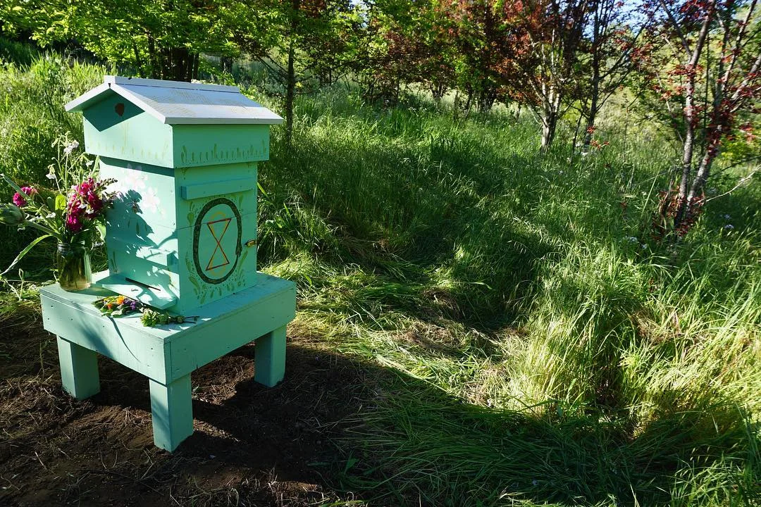 AriellaDaly_green_hive