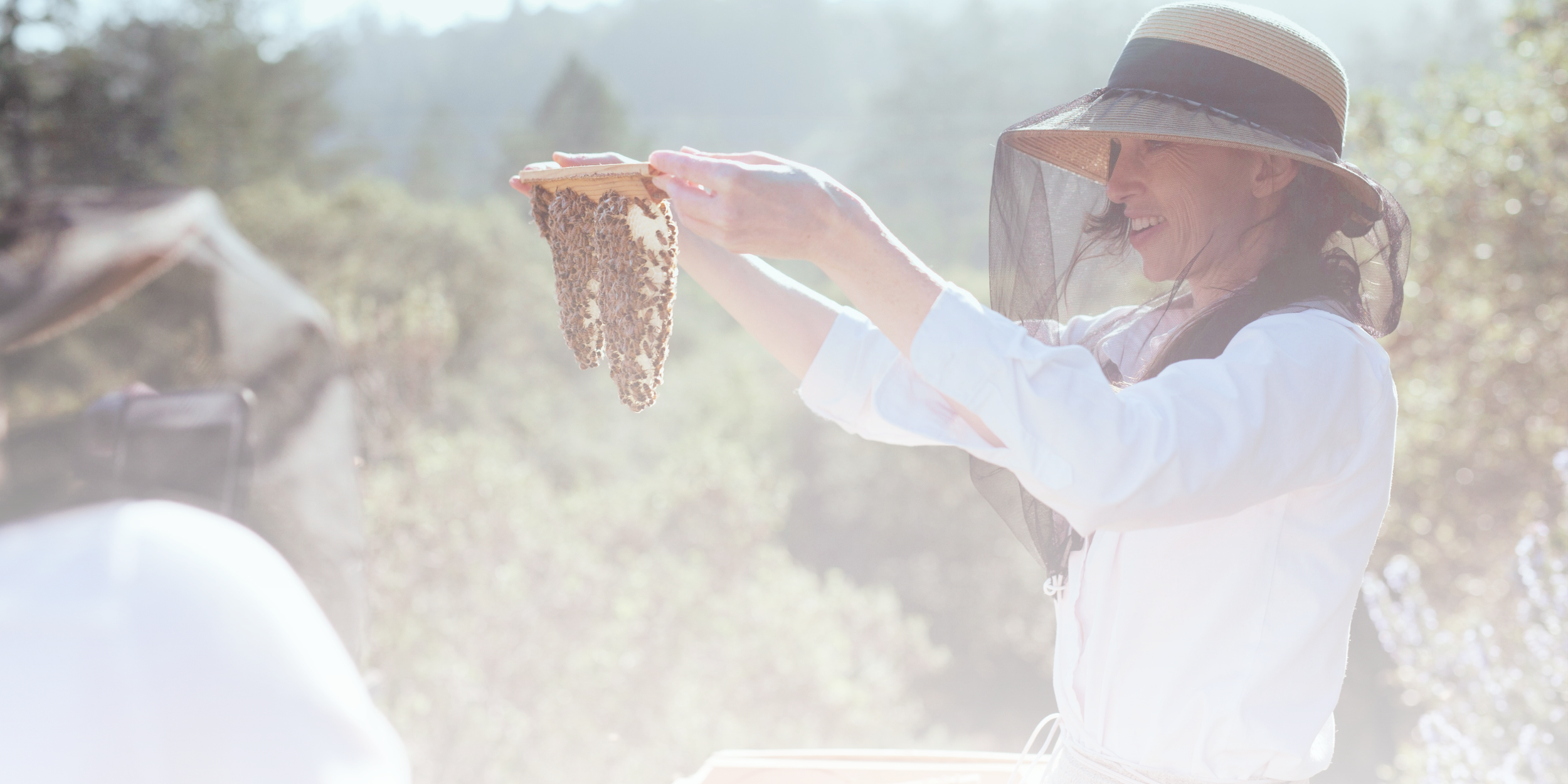 Women behind the lens: the female beekeepers who hold 'the keys to