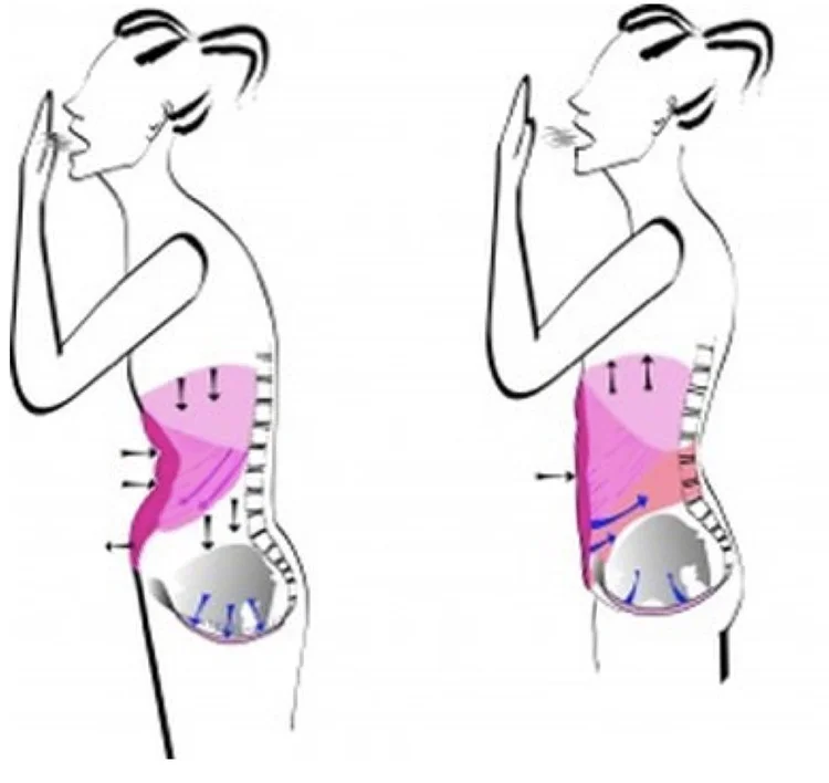 Laugh, cough & sneeze, but don’t pee! [illustrated] — OUR FIT FAMILY LIFE