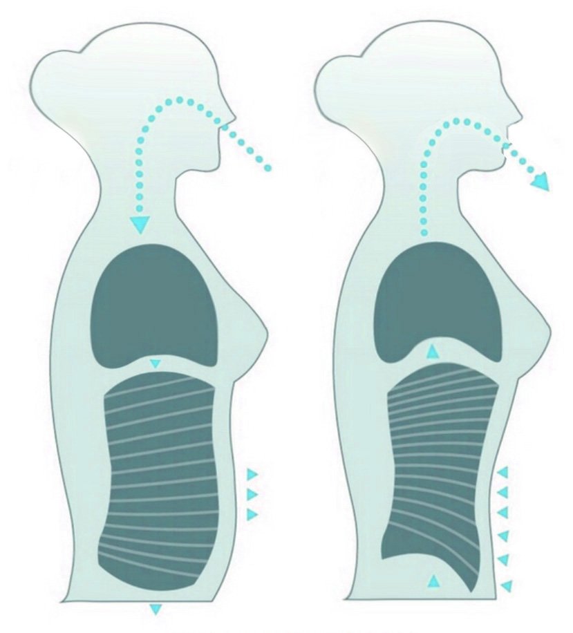 Laugh, cough & sneeze, but don't pee! [illustrated] — OUR FIT