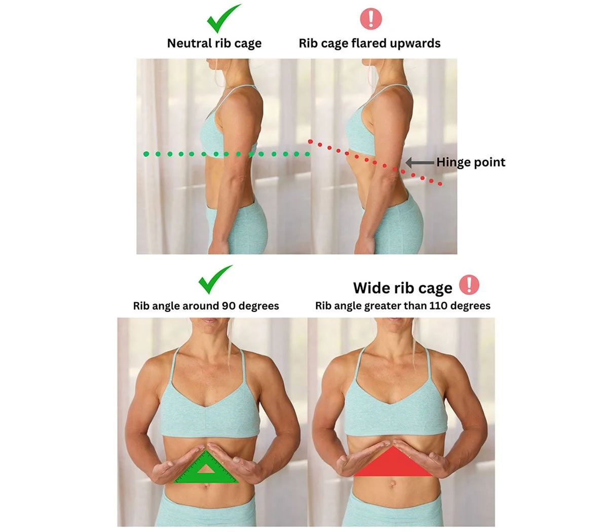Normal Rib Skin How Rib Flare affects your Diastasis, Pelvic Floor & Back — OUR FIT ...