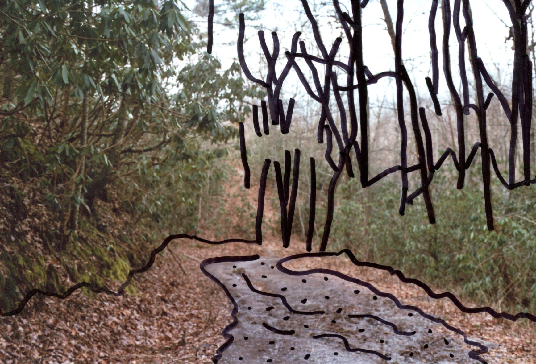 img004.jpg