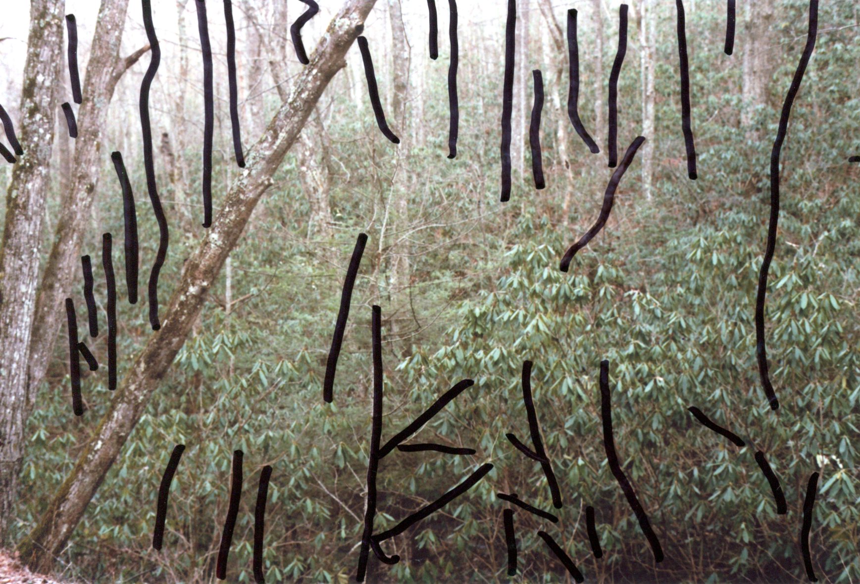 img008.jpg
