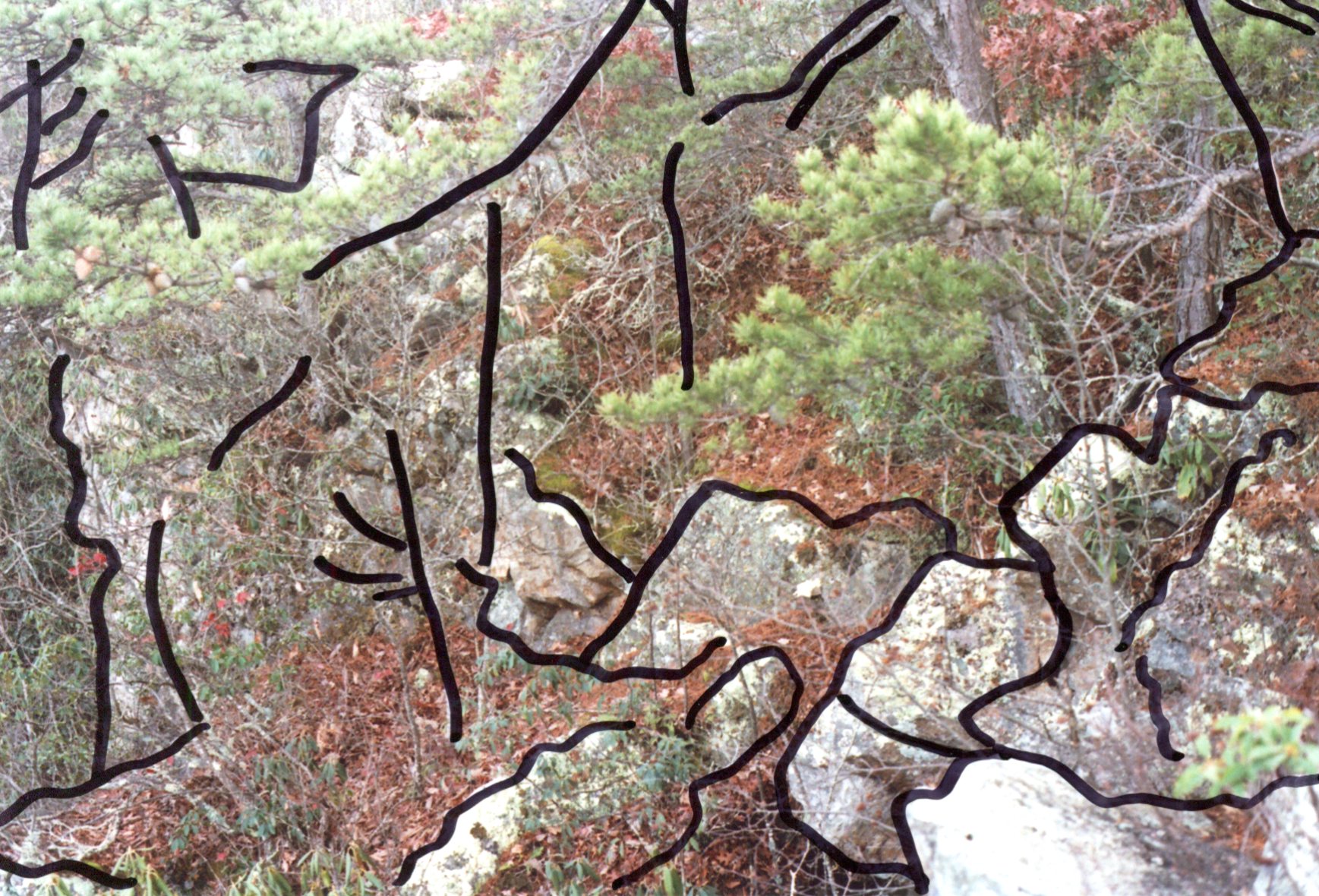 img007.jpg