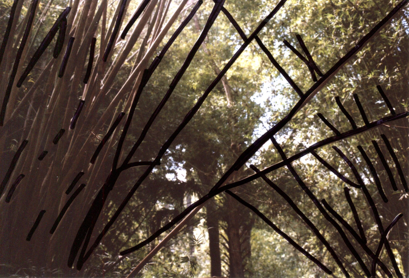 img009.jpg