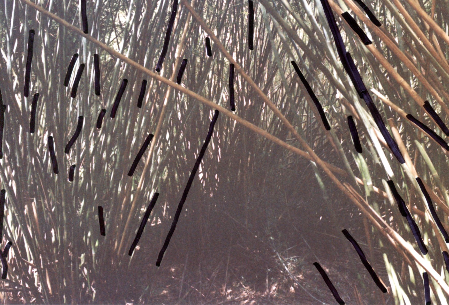 img010.jpg