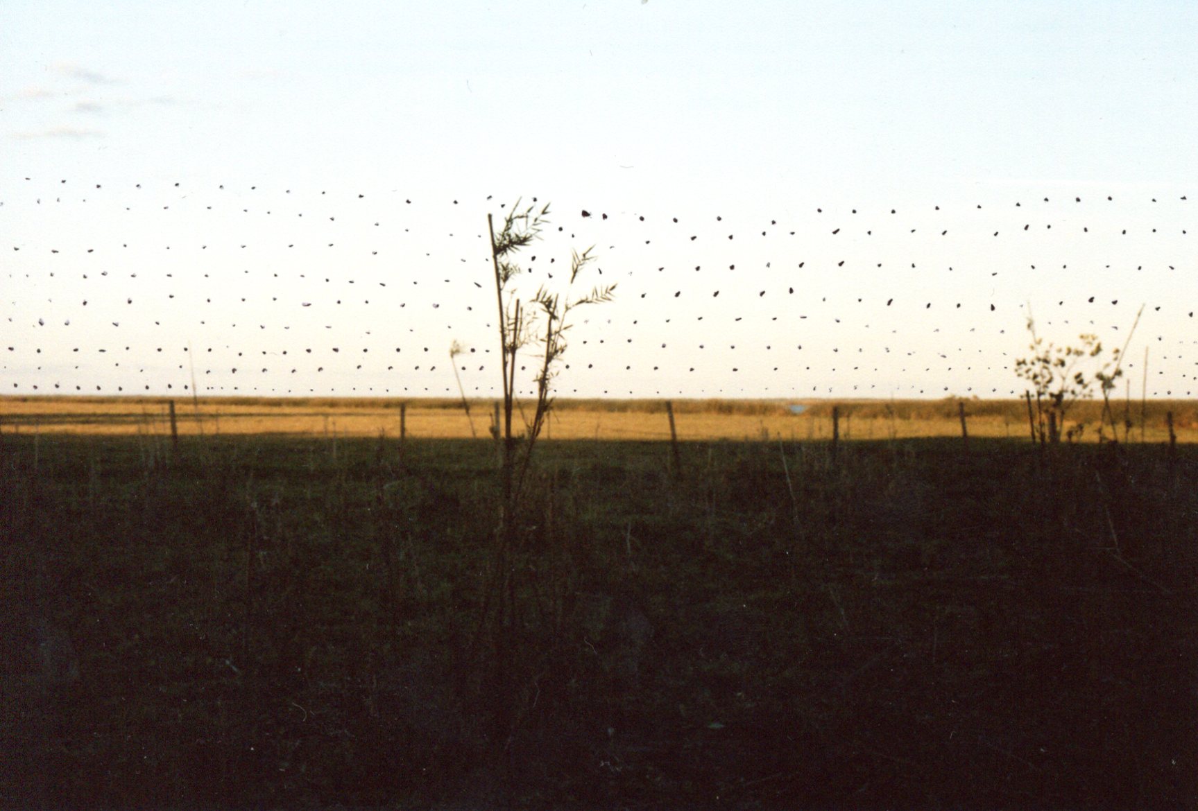 img024.jpg