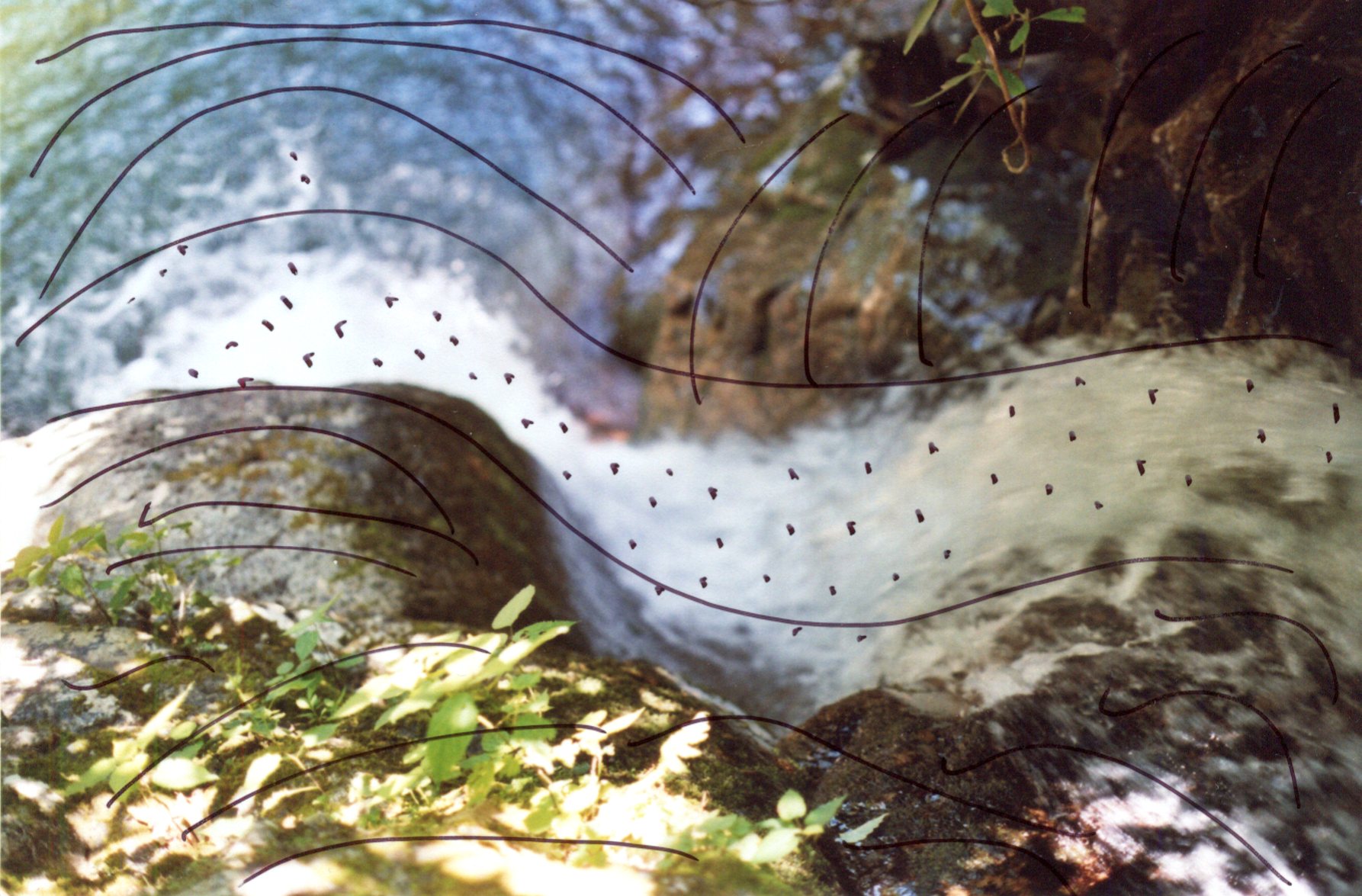 img016.jpg