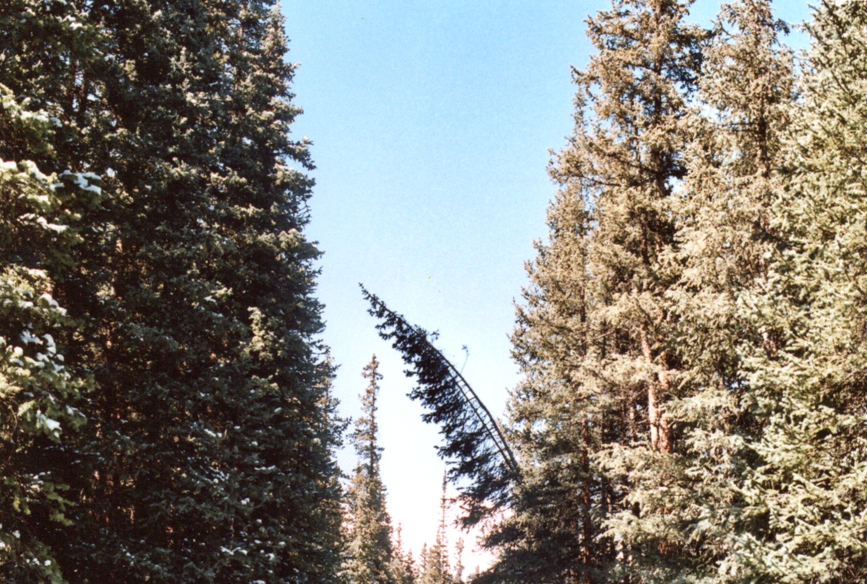 1D18A6B0-A67B-46CF-899D-2C94A7FD273D.jpeg