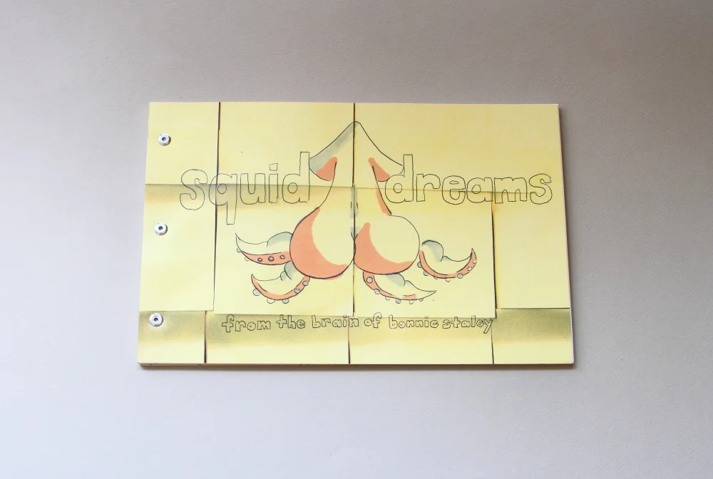 squid dreams_cover.JPG
