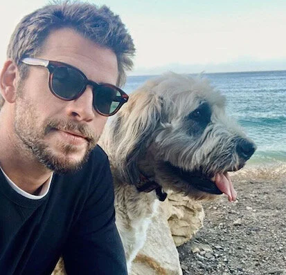 Image from @liamhemsworth