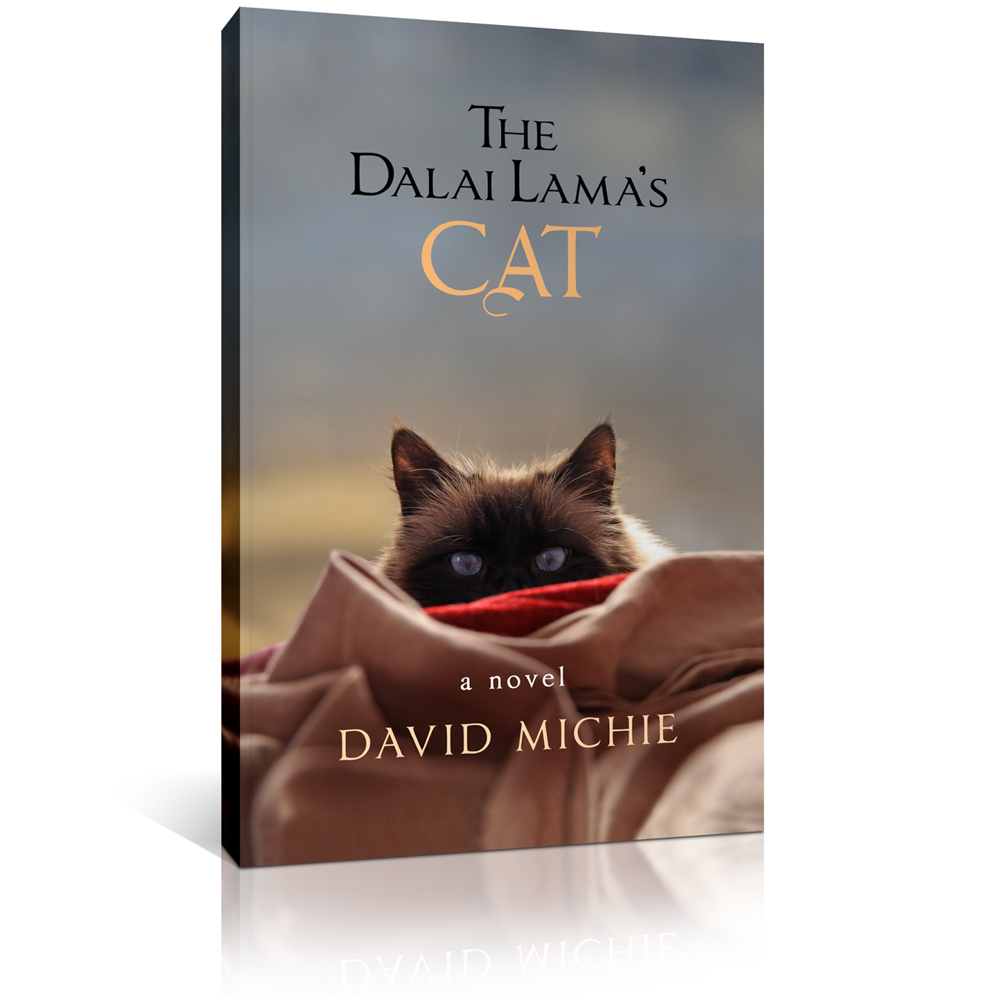 the dalai lama's cat.jpg