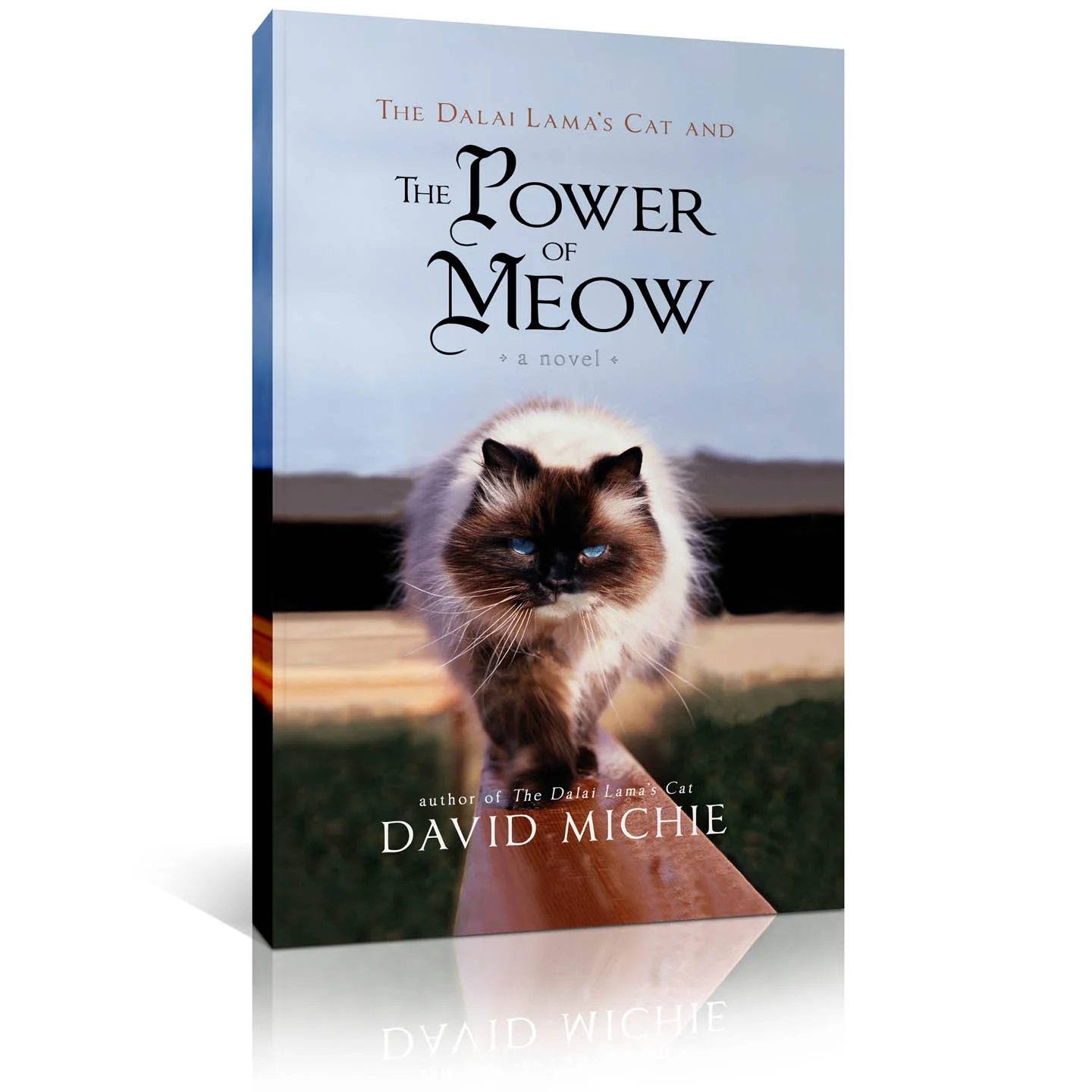 the power of meow 2.jpg