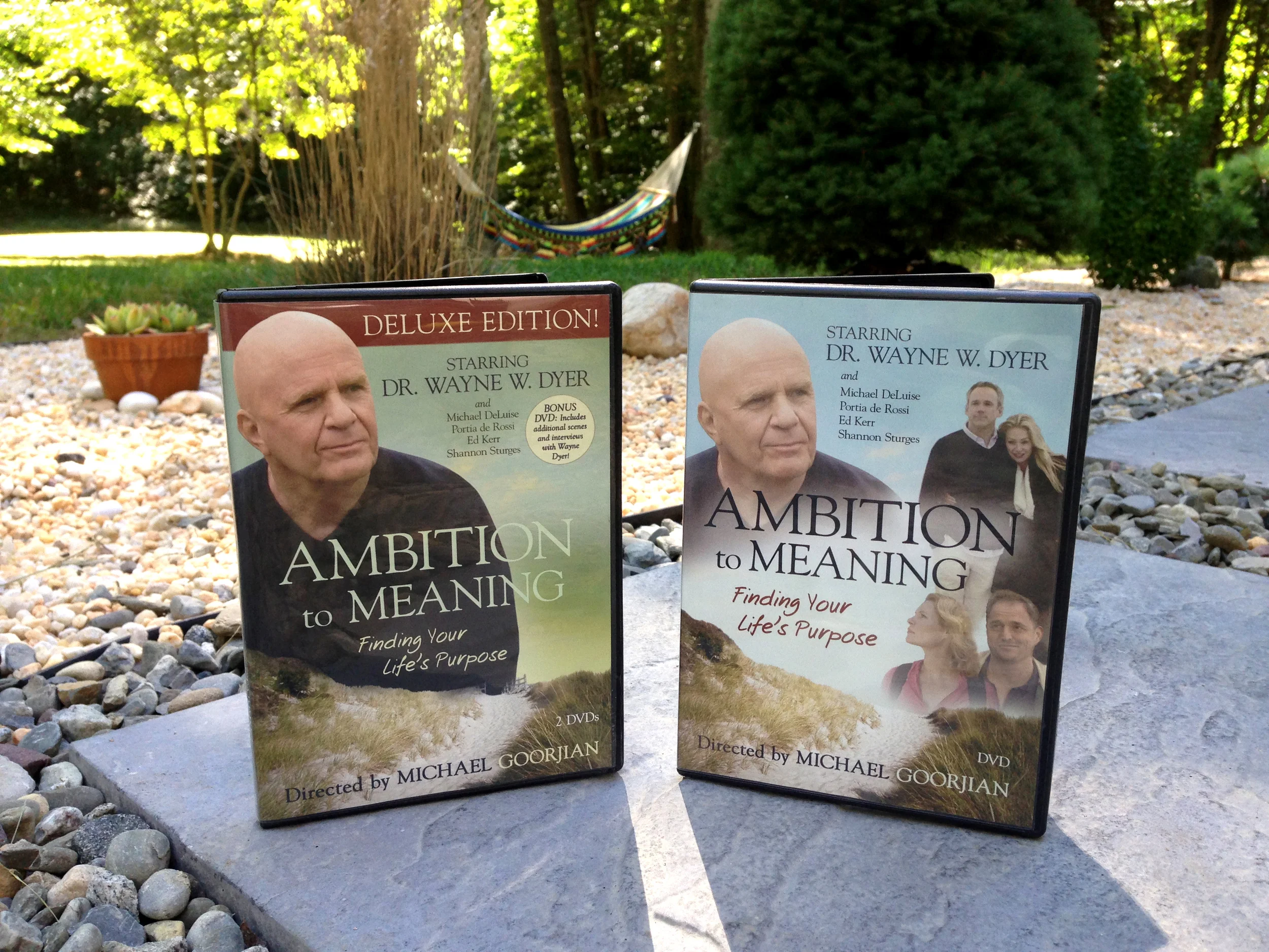 Ambition to Meaning.jpg