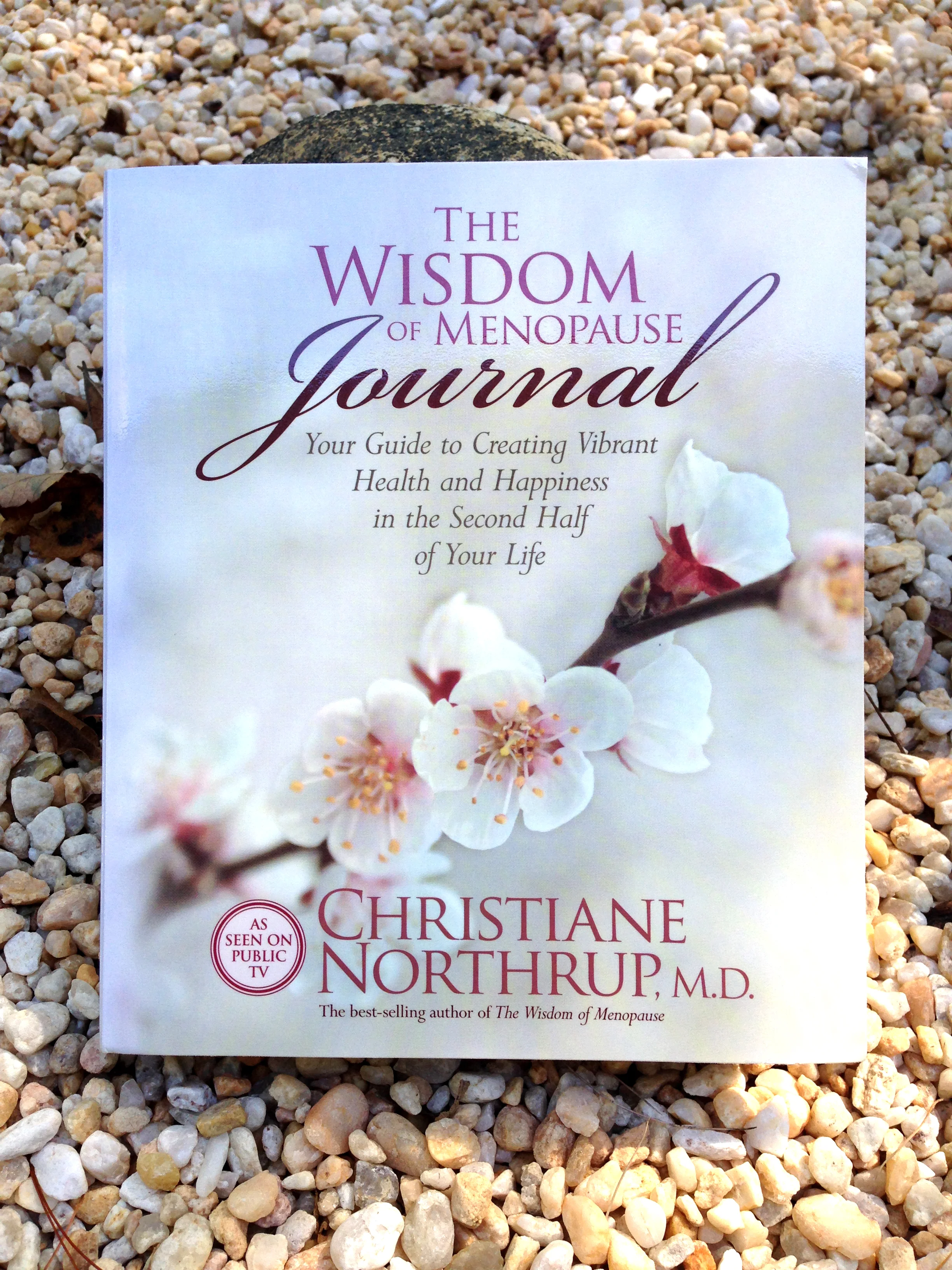 the wisdom of menopause journal.jpg