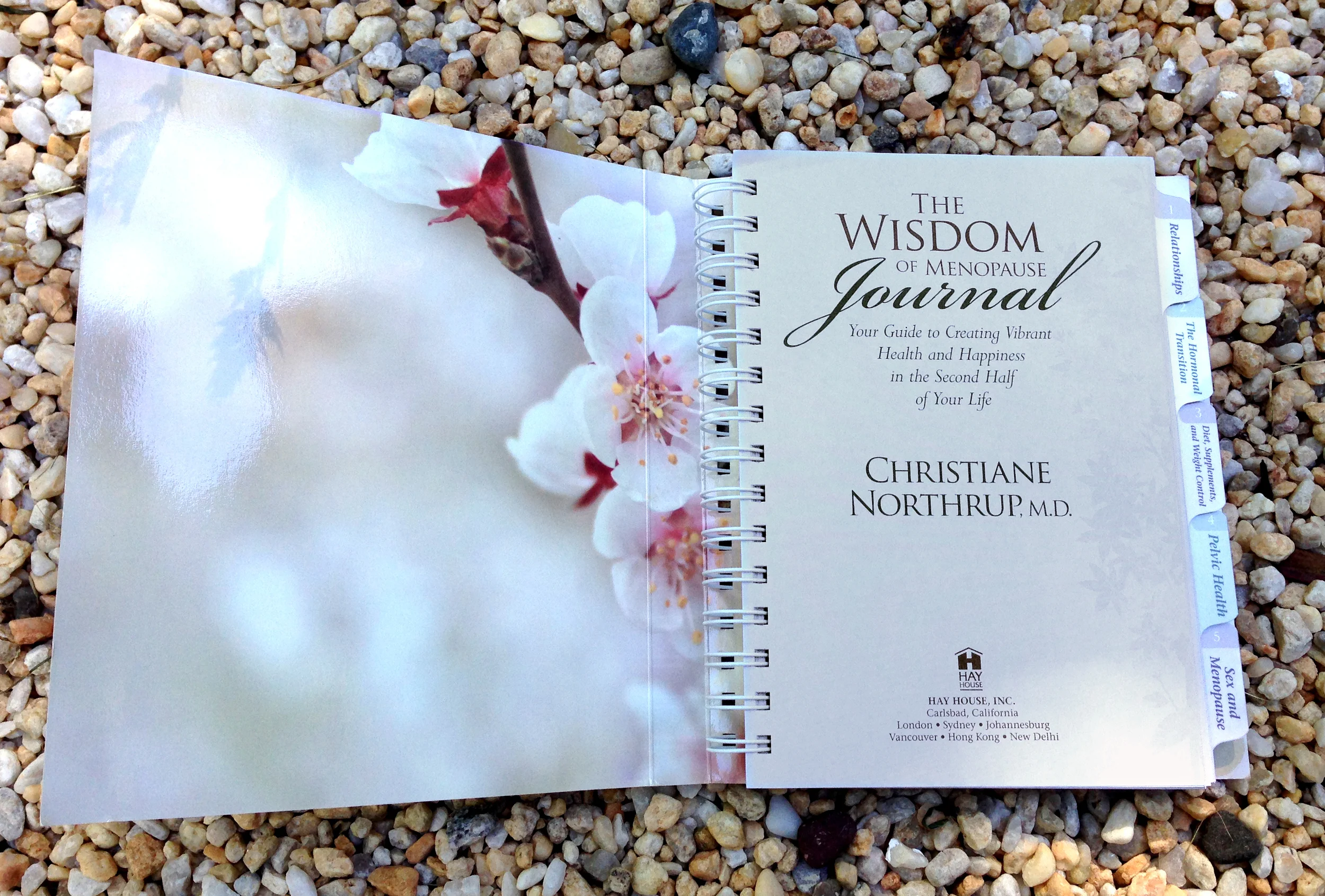 wisdom of menopause journal 3.jpg