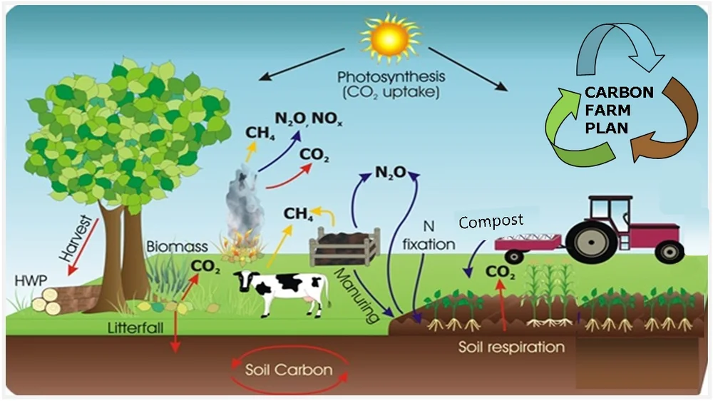 Carbon Pricing 101