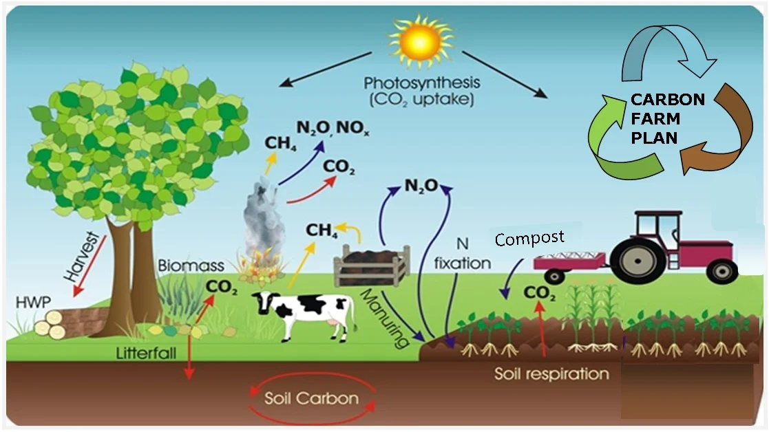 carbonpic.jpg