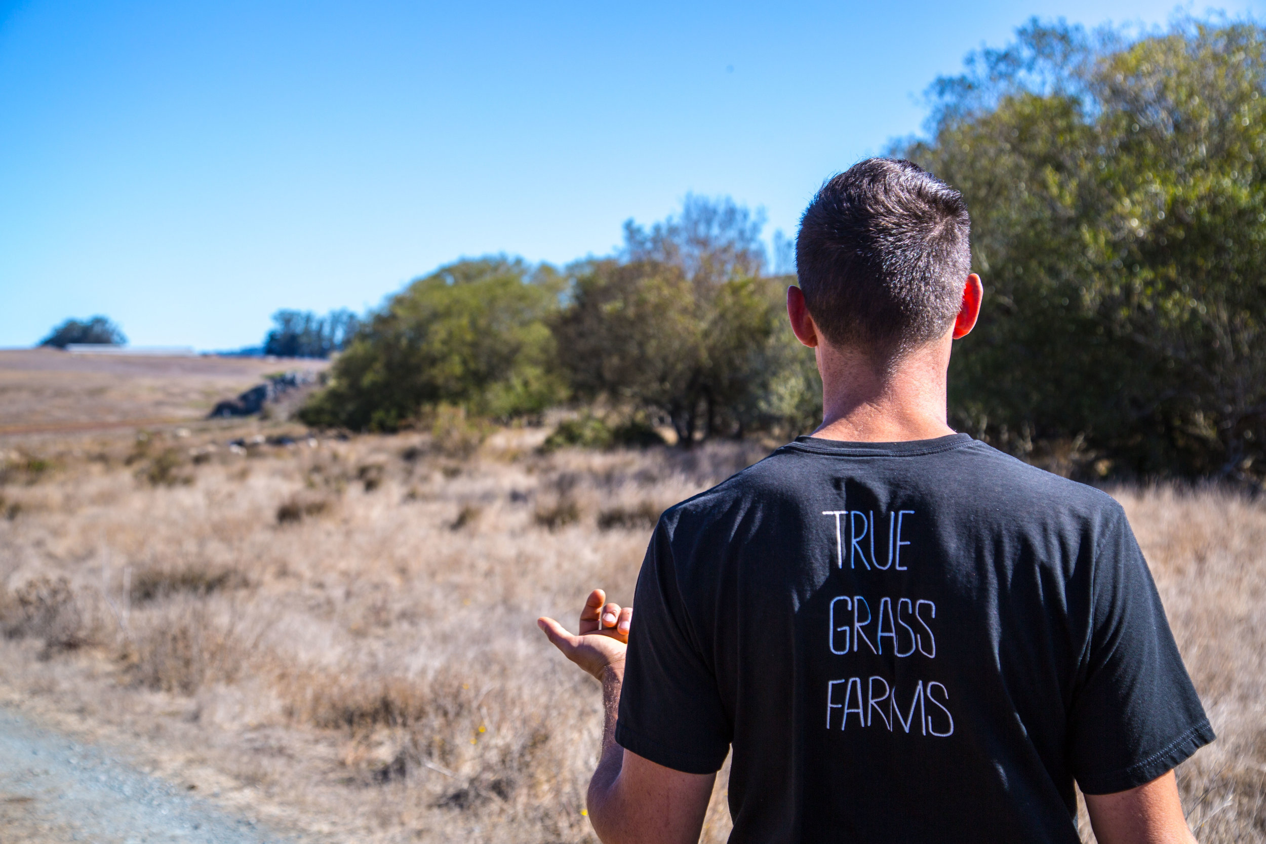 True-Grass-BTS7.jpg