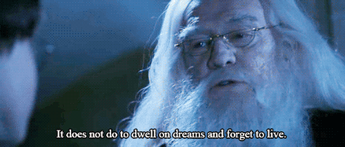 We can't waste our lives away waiting for our owls and Hogwarts letters to FINALLY arrive, so we should create the best Muggle lives for ourselves that we can.