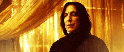 giphy-34.gif