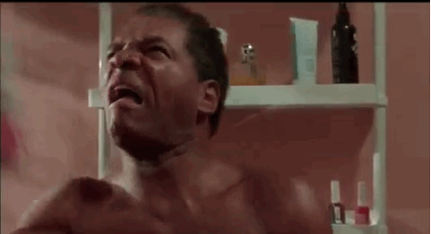 giphy (19).gif