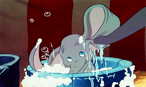 giphy-1.gif