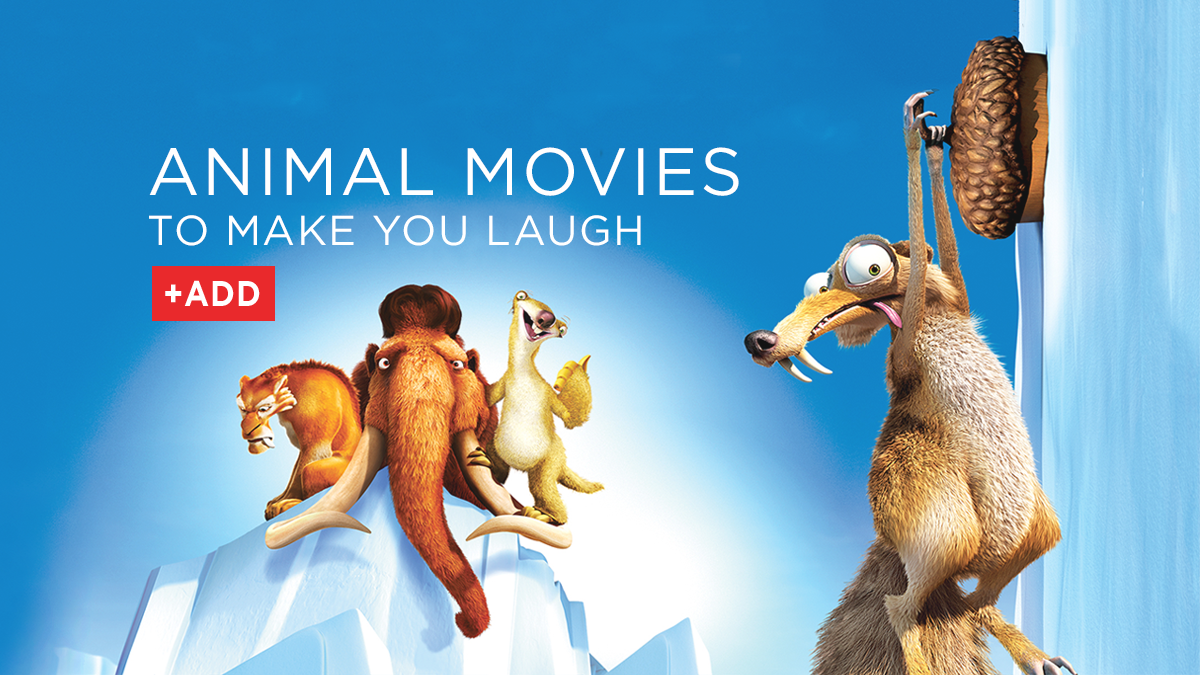 Top Five Animal Movies That Make You Laugh - Netflix DVD Blog