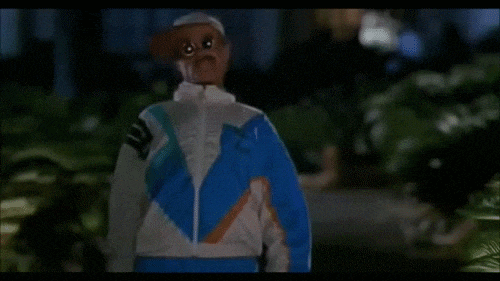 giphy-5.gif