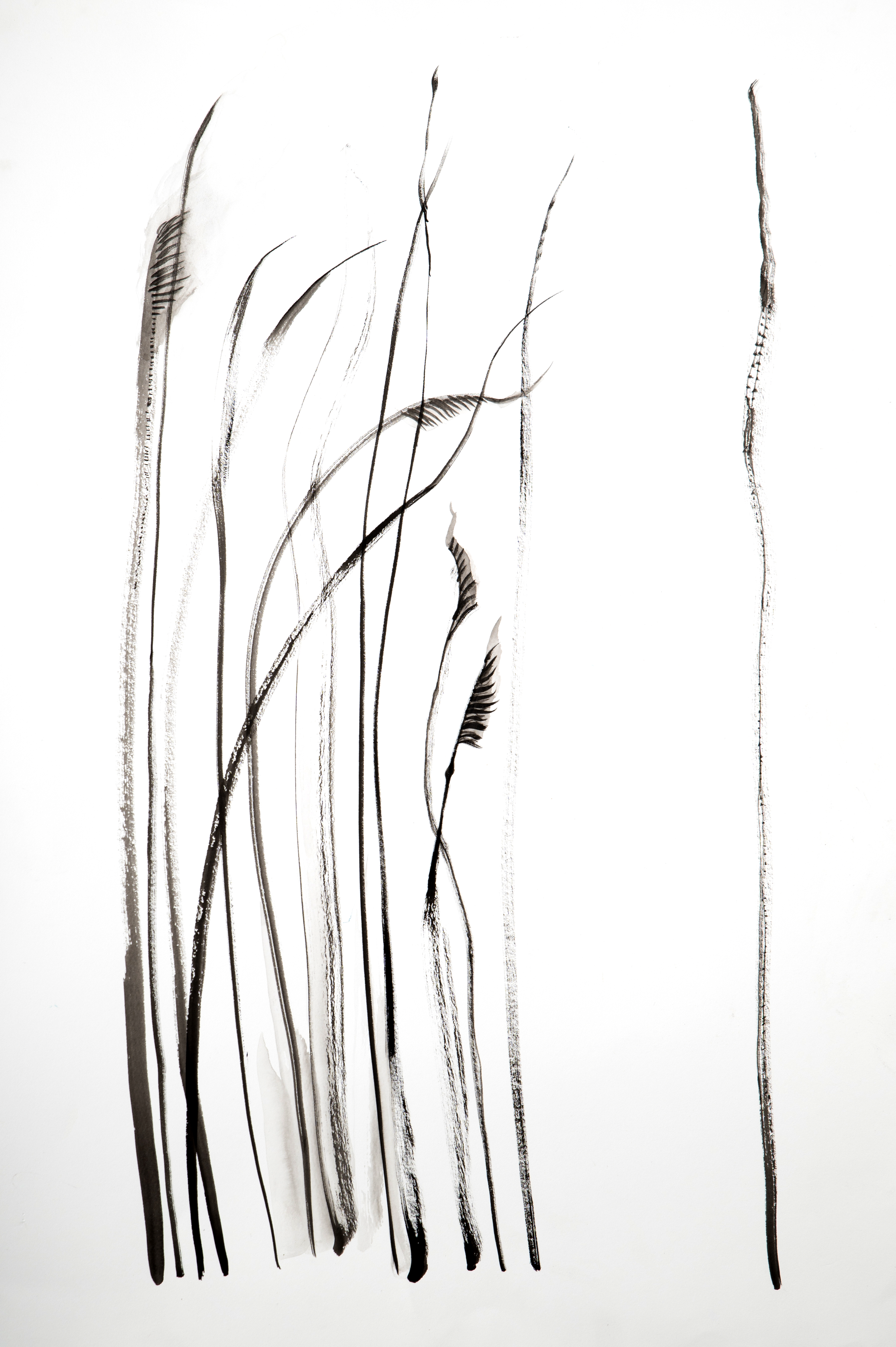 Grass 1 Alice Mandel SB.png
