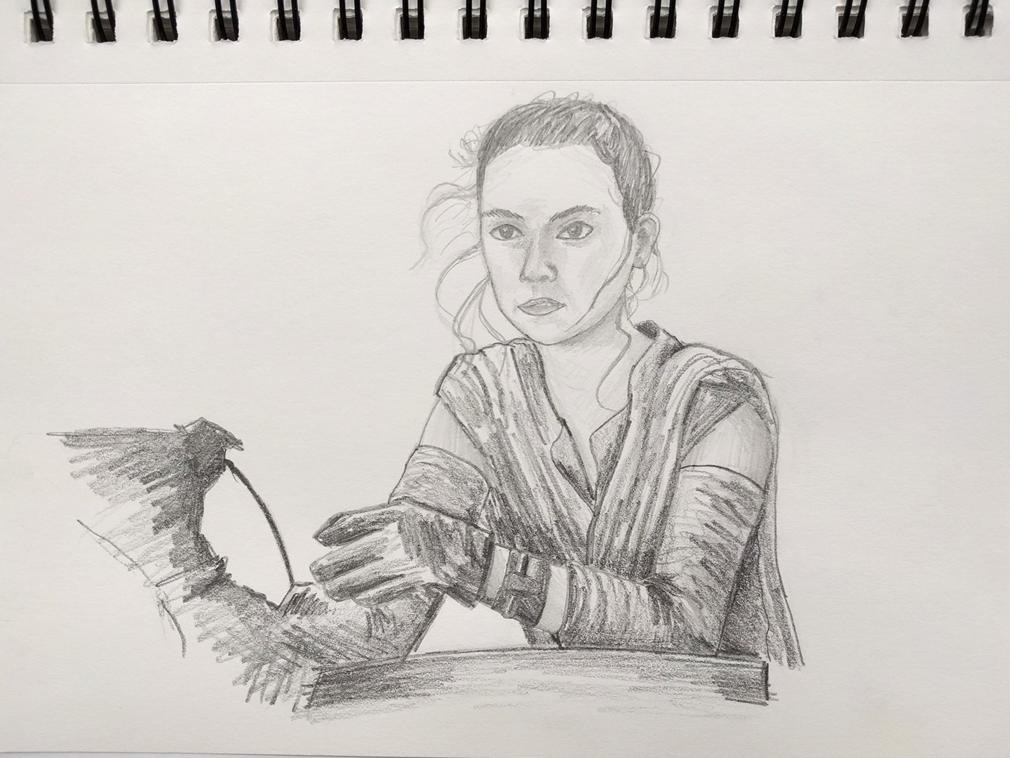 rey_sketch02.jpg