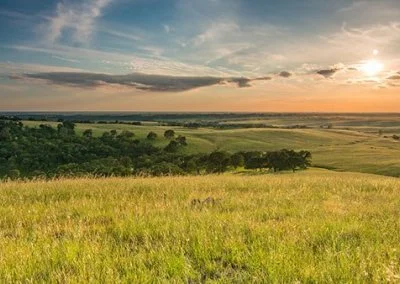 USDA Proposes Bold Moves to Improve Forest, Grassland Management 