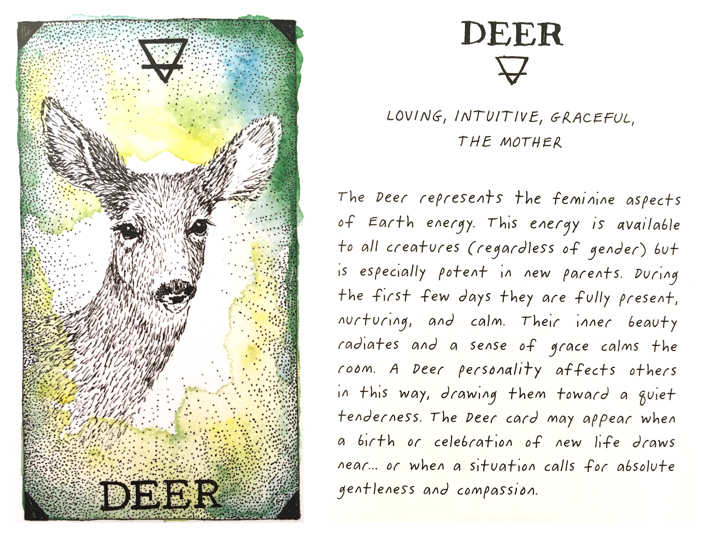 deer-crop.png