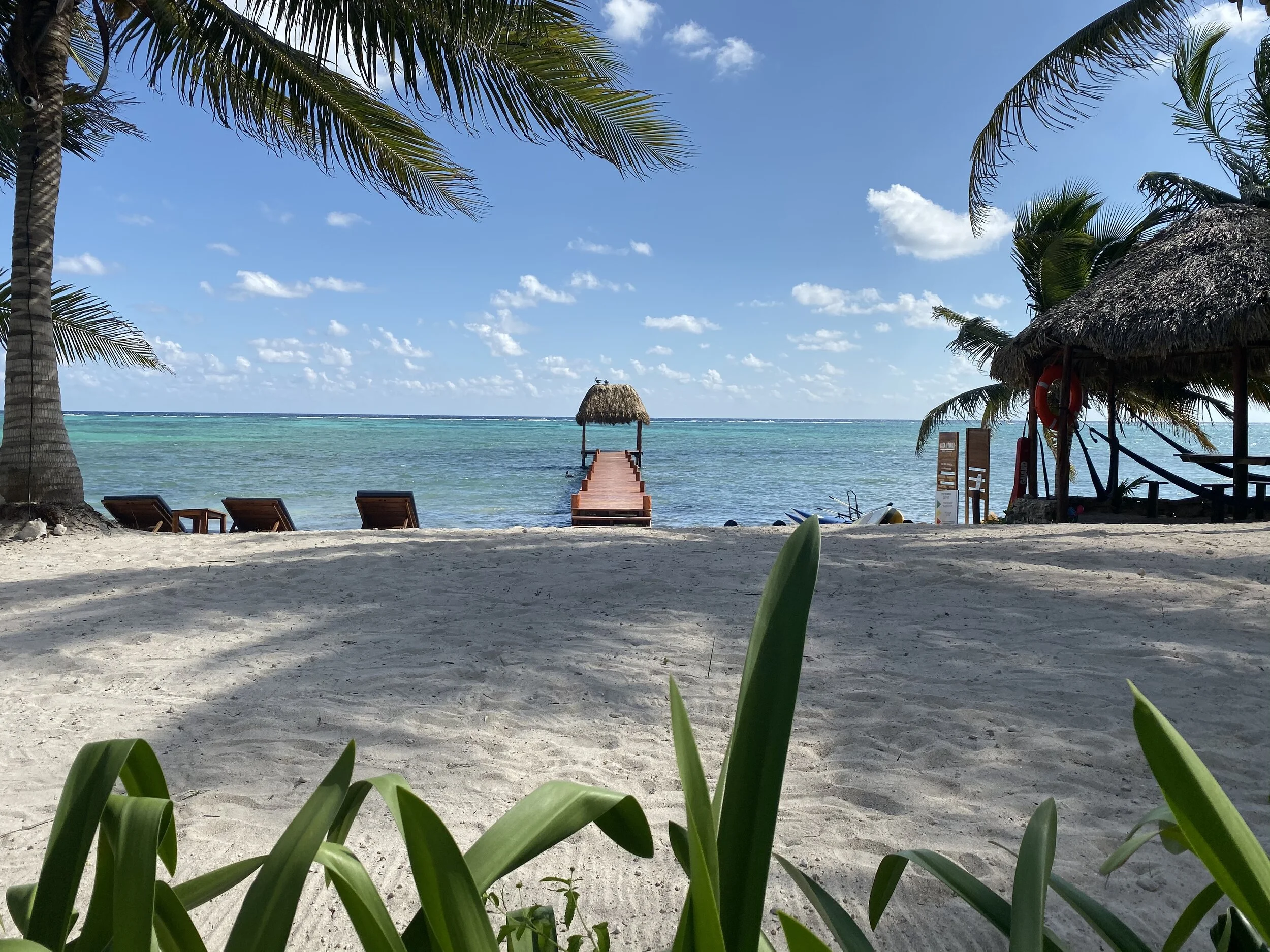 Tulum Travel Guide [2020] - Best Food in Tulum