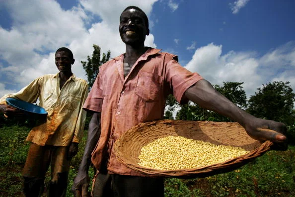 Photo by Brent Stirton/Getty Images News / Getty Images