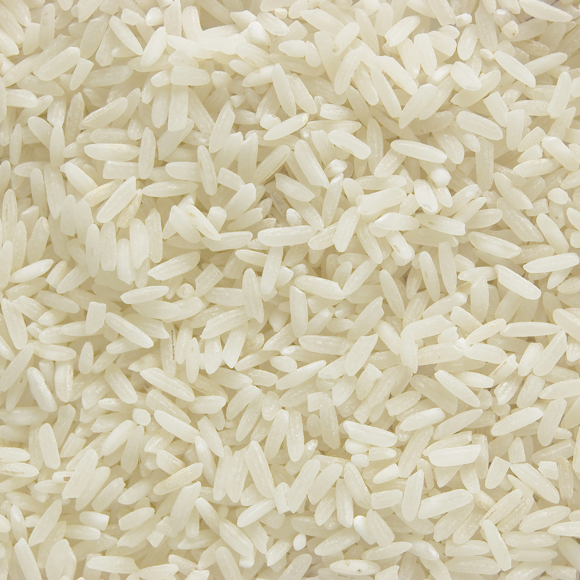 Rice and Grains