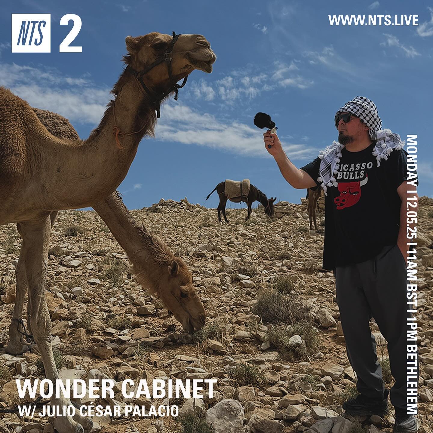 This coming Monday I have the pleasure of presenting a program on NTS from @wonder.cabinet. @nts_radio 

It is a special composition piece that I have made here in Bethlehem, Palestine that mixes and brings together many voices and people singing wit