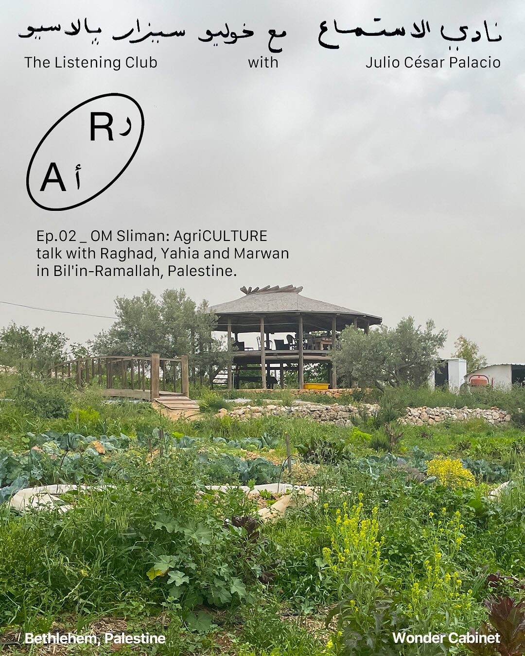 Today, Labor Day, I have the pleasure of presenting a program in which I talk to 3 people who care for and cultivate their land. This episode is very important because they and the @omsleimanfarm project show us that here in Palestine there are many 