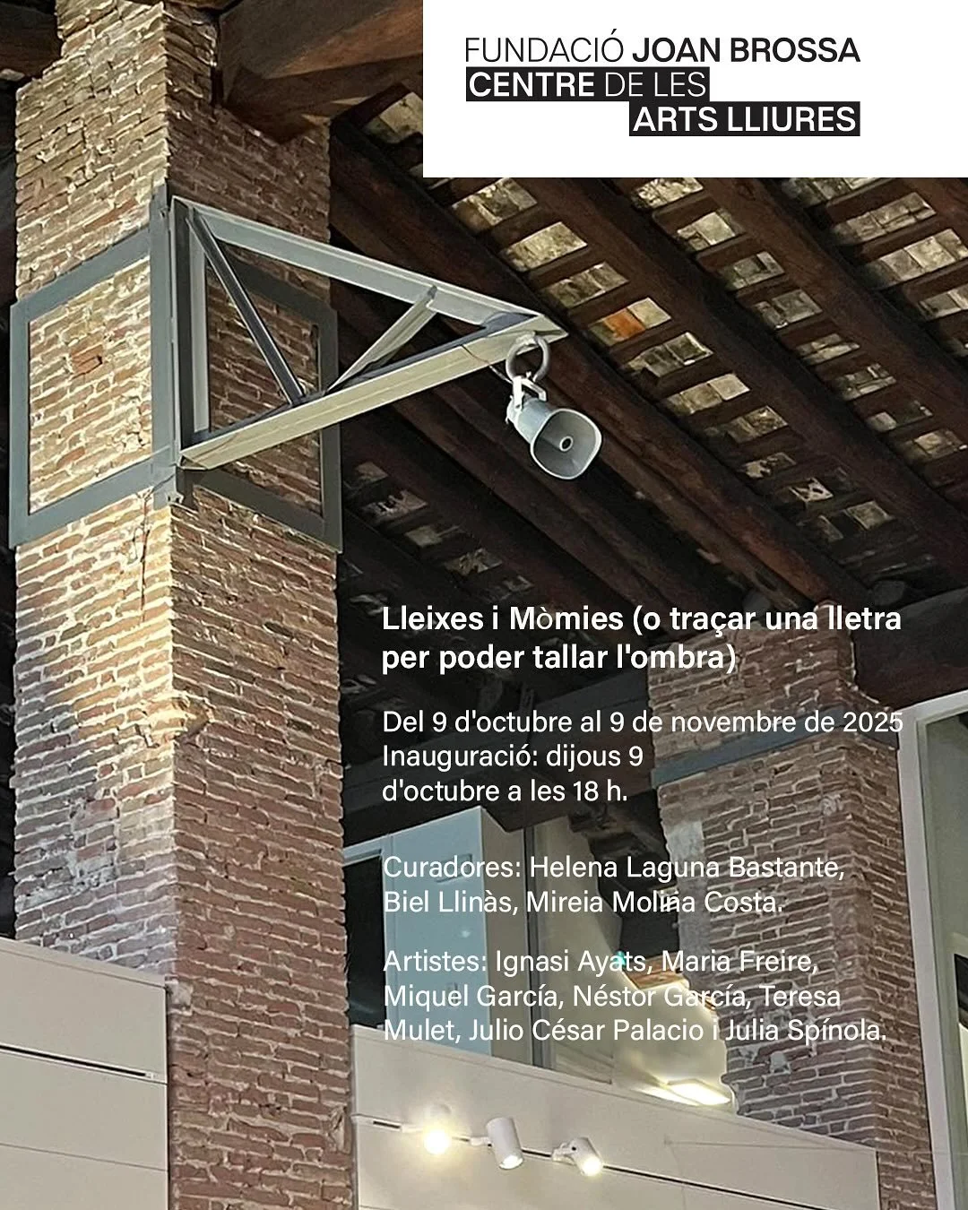 I am particularly excited to participate in an exhibition curated by three great artists: @b.llinas @helenalaguna @ireiaoia 
The opening is this Thursday 09 October at the @fundaciobrossa. I think it&rsquo;s a really powerful exhibition, and I&rsquo;