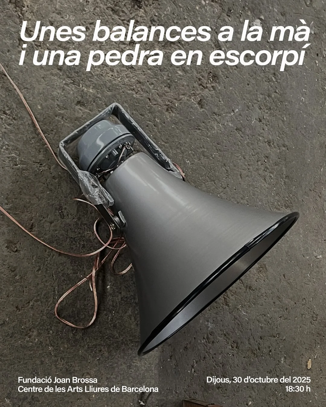 DEM&Agrave; &bull; MA&Ntilde;ANA &bull; TOMORROW

Per donar la benvinguda a un temps fosc i fred, se celebraven rituals per sanar, recordar i atraure aquelles veus latents entre nosaltres. Al voltant d&rsquo;un foc, hist&ograve;ries i mites es compar