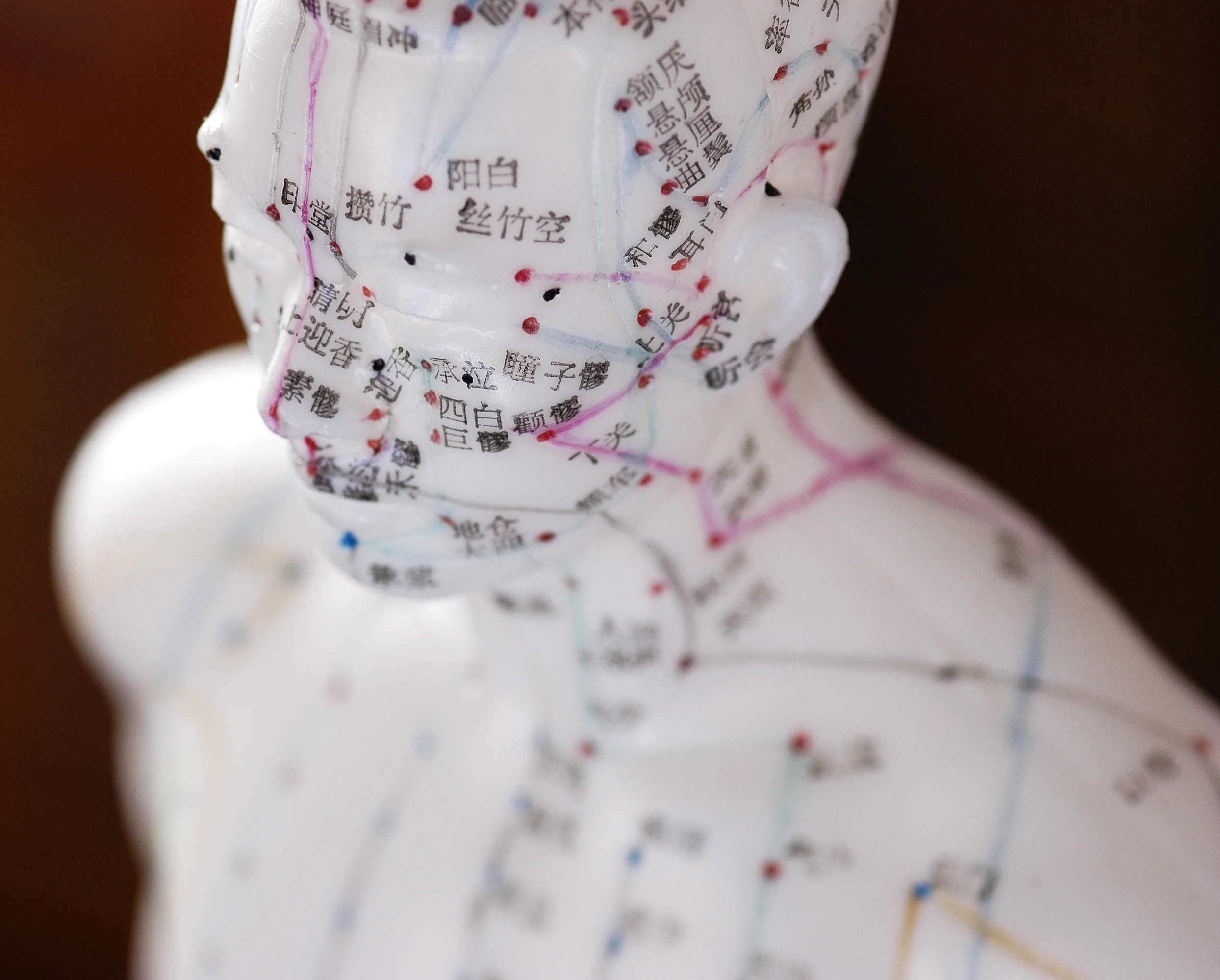 Sports Manual Therapy