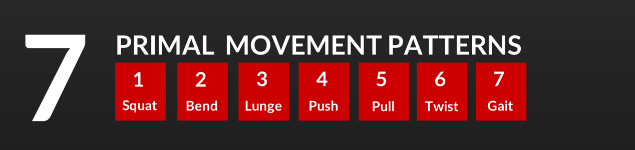 Primal-Movement-Patterns-1268-x-300.png