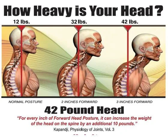 forward head poundage.JPG