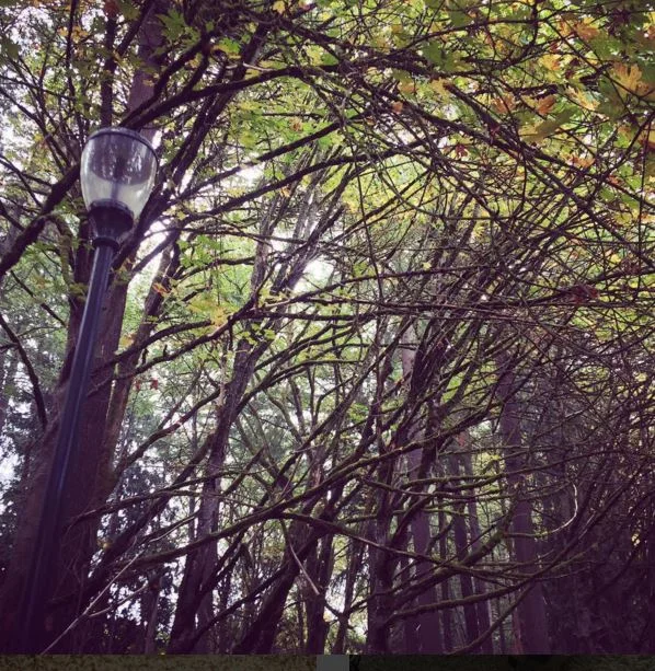 Walking toward a killer?