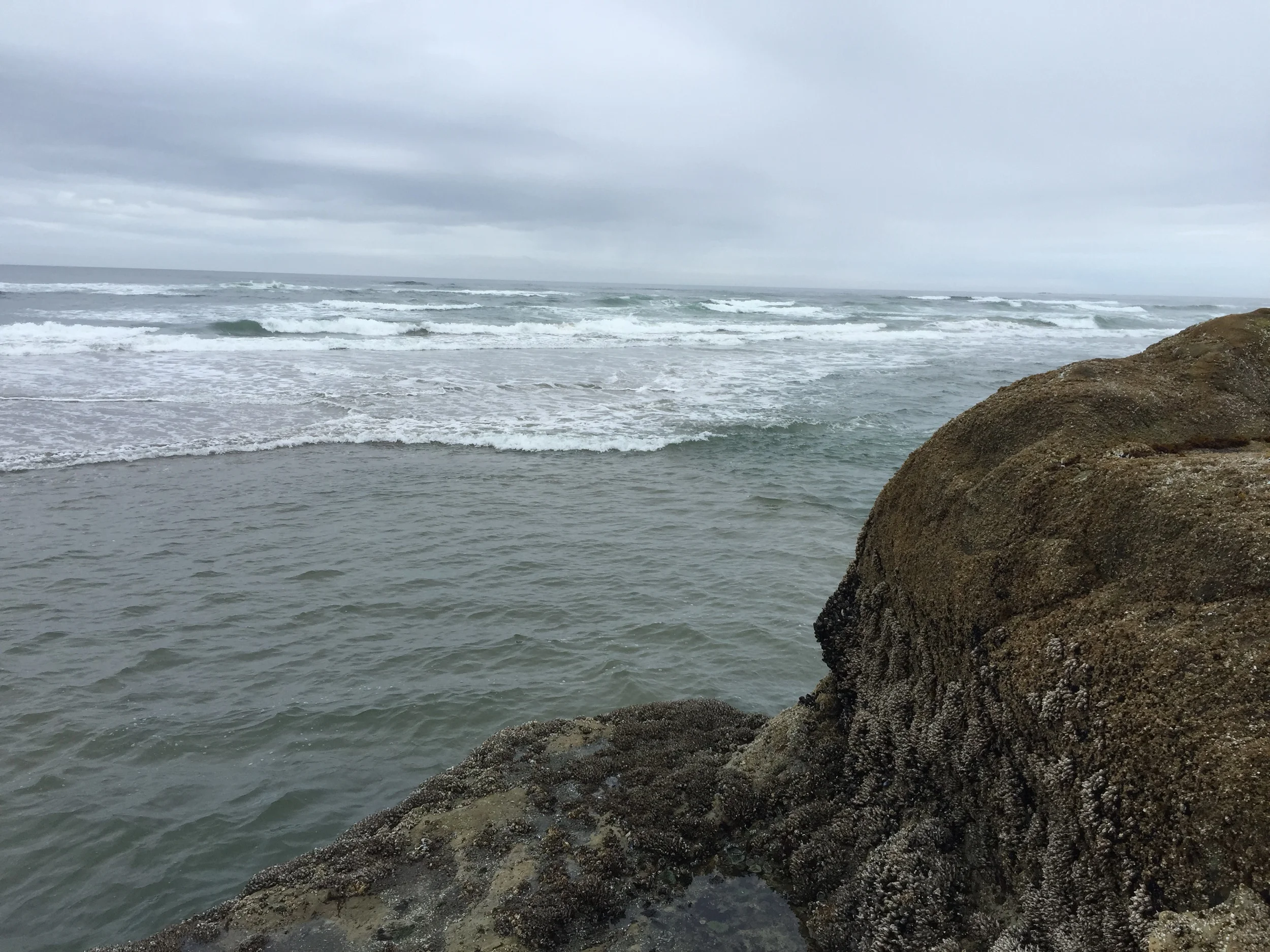 Cake by the Ocean- Not the Worst Idea Ever