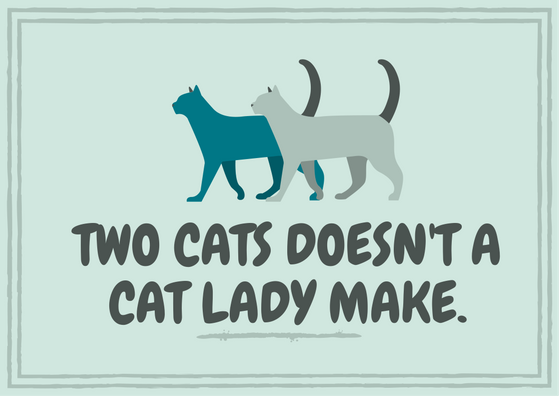 two cats doesn't a cat lady make..png